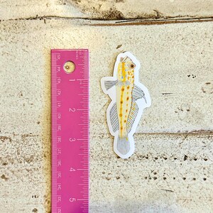 Handmade Aquarium Fish Sticker Pack, Set of 4 Glossy Waterproof Vinyl ...