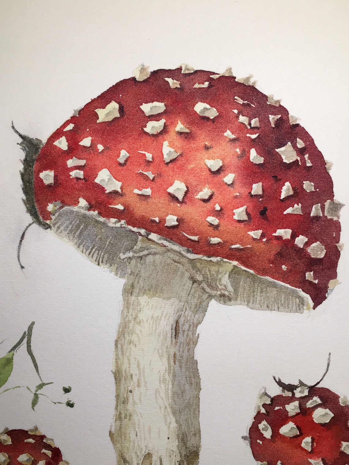 download amanita design botanicula for free download amanita design botanicula for free