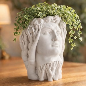 Könnte beinhalten: Ein weißer Pflanztopf im klassischen Stil in Form einer Büste mit grünen Hängepflanzen. Der Pflanztopf hat detaillierte Gesichtszüge und besteht aus einem hellen Material, das auf einer Holzoberfläche steht.