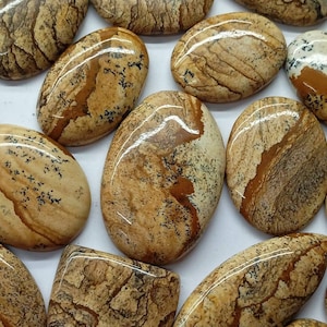 Picture Jasper Cabochon, Wholesale Lot Cabochon By Weight With Different Shapes and Size For Jewelry Making
