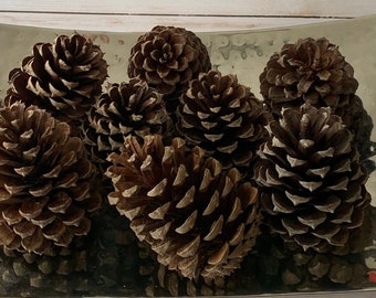 Eucalyptus Oil Infused Pine Cones: Rustic Aromatherapy Decor