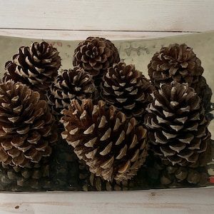 Eucalyptus Oil Infused Pine Cones: Rustic Aromatherapy Decor