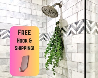 Plantas vivas de eucalipto para ducha, Paquete de eucalipto fresco para ducha, Plantas de interior para baño, Planta viva de eucalipto para colgar en la ducha