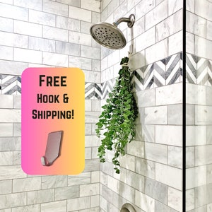 Fresh Eucalyptus Shower Bundle, S-XL Bunch, Clean Mint Scented Plant for Bathroom. Real shower bundle with Eucalyptus to hang with free hook