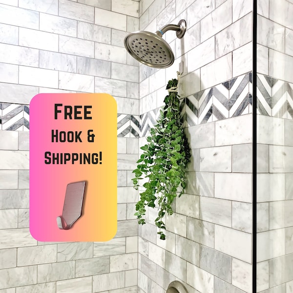 Fresh Eucalyptus Shower Plant Bundle (S–XL), Hanging Bathroom Bunch for Aromatherapy Spa Steam, Clean Mint Scent, Natural Shower Flower Gift