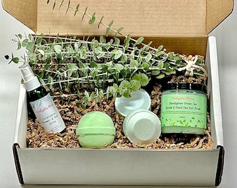 Fresh Eucalyptus Shower Bundle | Eucalyptus Spa Gift Box  | Plant Gift Box | Indoor Plant Gifts | Thoughtful Gift | Top rated gift box