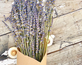 Dried Lavender Stems | Dried Flowers | Lavender Bunch | English Lavender | Table Decor | Fresh Lavender Centerpiece | Lavender Plant | Boho