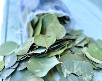 Dried Silver Dollar Eucalyptus Leaves: Natural Wedding Table Decor