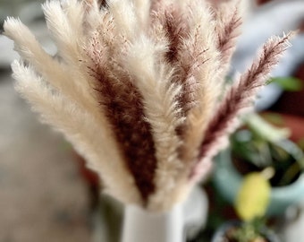 Dried Pampas Grass Bouquet 45 Piece Flower Bundle | Farmhouse Decor | Centerpieces for Table | Home Decor | Shelf Decor | Bohemian Decor |