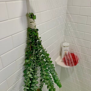 Eucalyptus Shower Bundle: Fresh Spa Aromatherapy (TWO Pack)