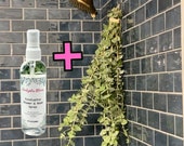Fresh Eucalyptus Shower Bundle with Eucalyptus Spray: USA Grown Home Decor