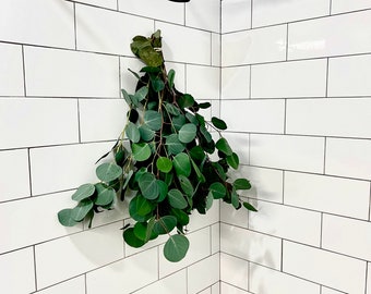 Fresh Silver Dollar Eucalyptus Bundle, Hanging Shower Bunch, Large Eucalyptus Bouquet For The Bathroom. Shower Aromatherapy Eucalyptus Scent