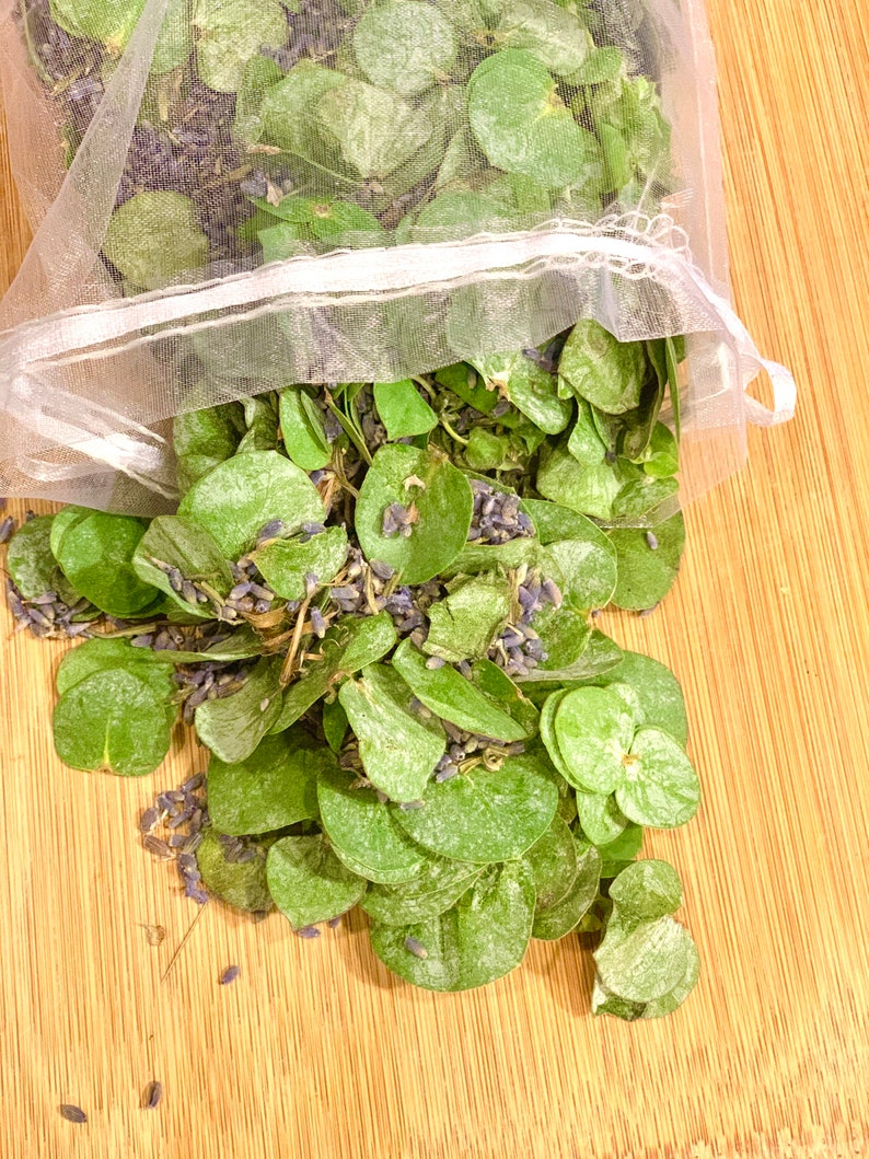 Fresh Eucalyptus Lavender Potpourri Bathroom Decor Scented Etsy