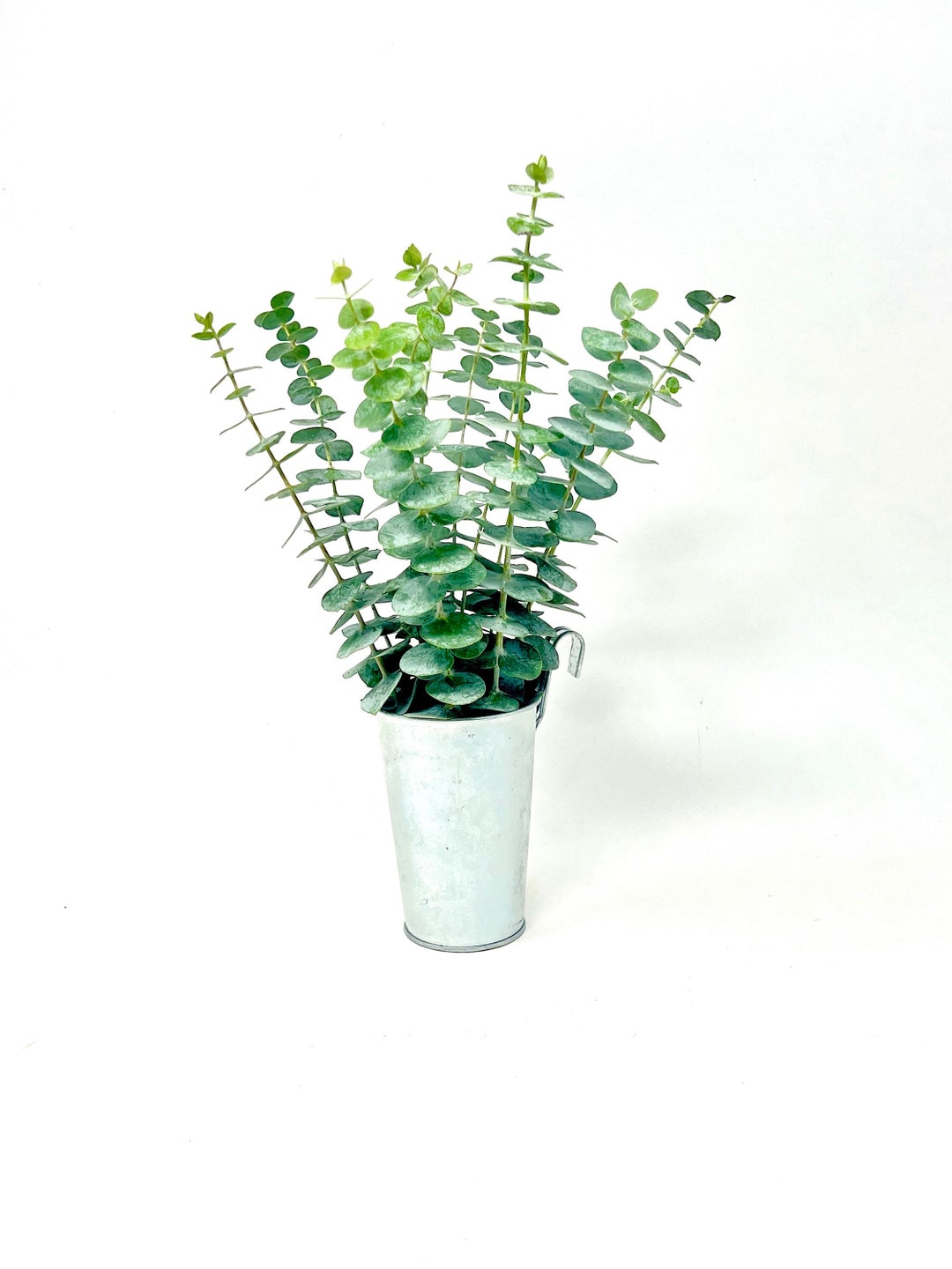 DIY: Miniature bouquets! - Wallflower Kitchen