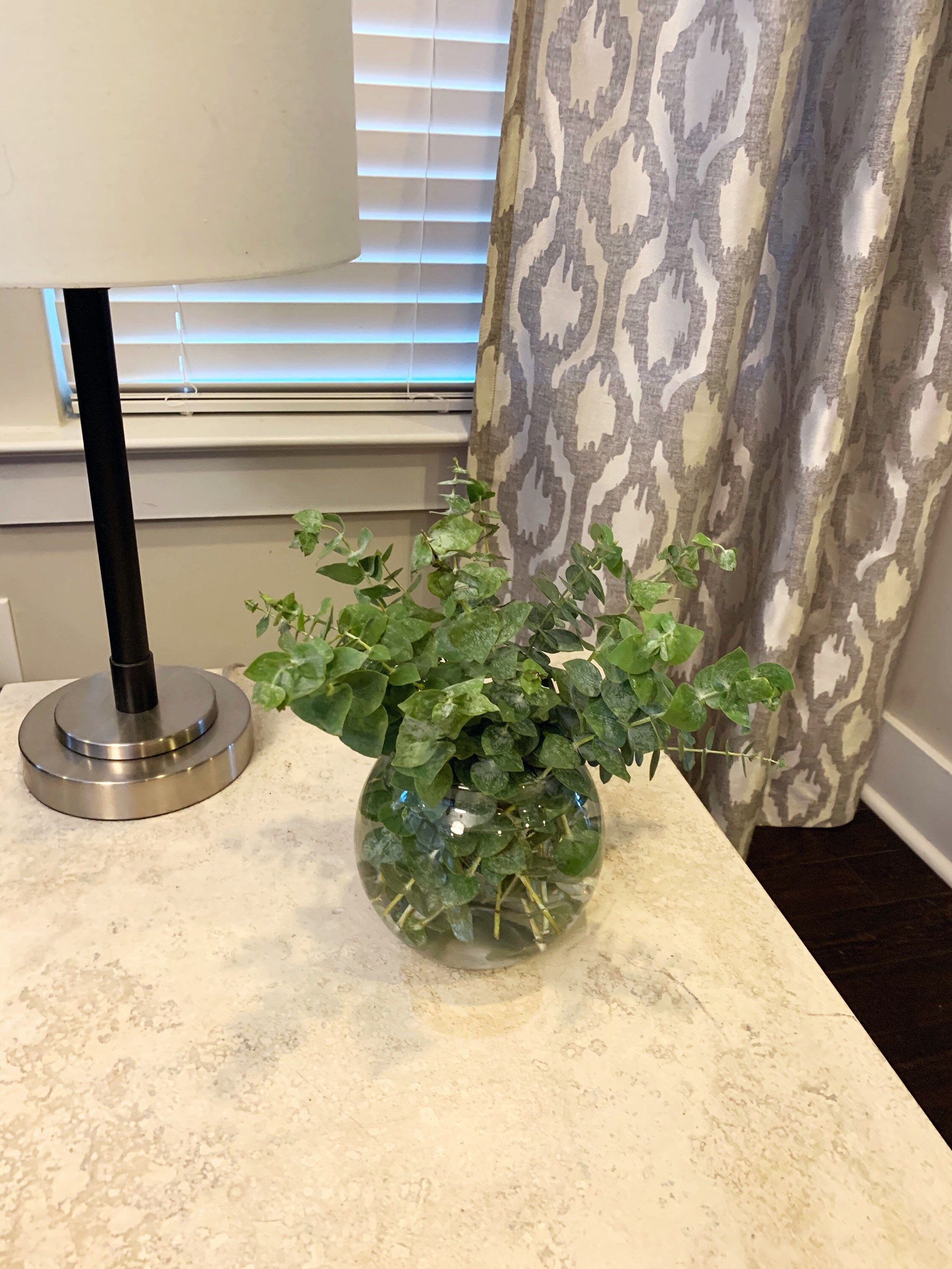 Fresh Eucalyptus Bouquet Petite 10 Stem Fresh Eucalyptus Etsy