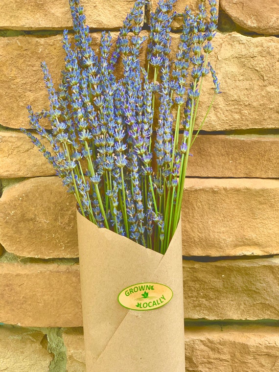 Dried Mixed Lavender Bunch - Set of 2