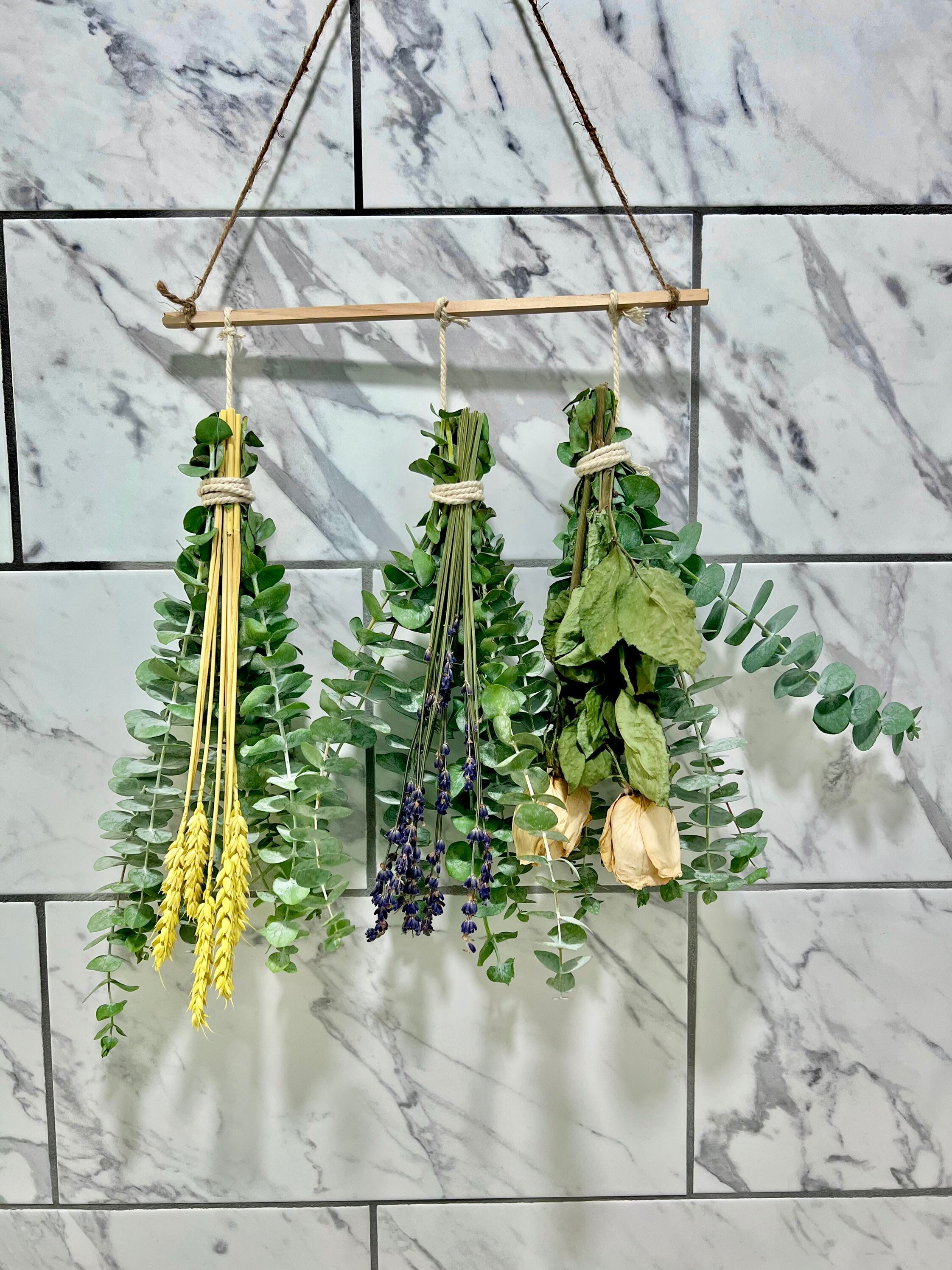 Kocat 24 PCS Real Eucalyptus Stems - Aesthetic Shower Decor, Perfect