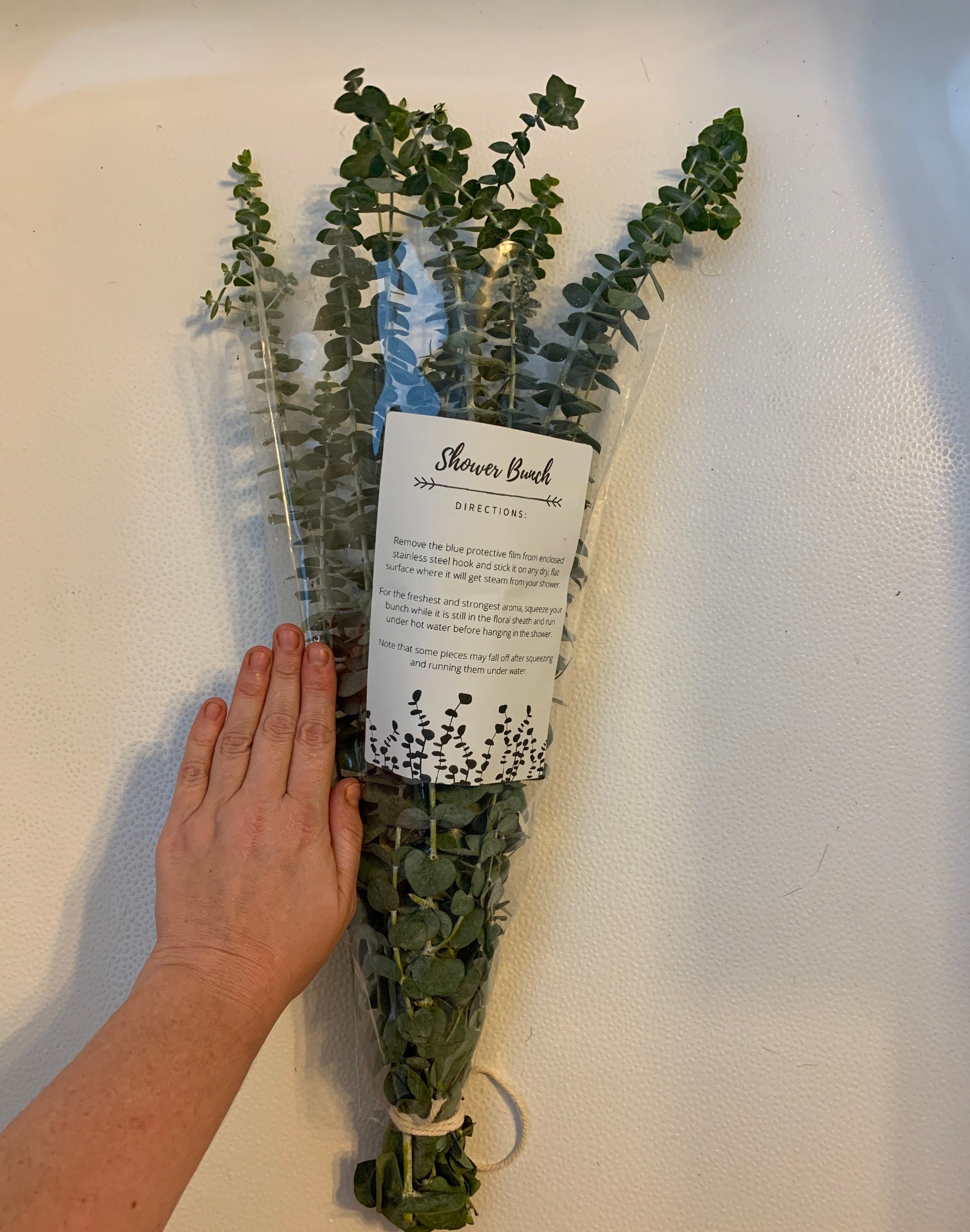 Shower Eucalyptus Bundle Plants For Your Shower Fresh Etsy