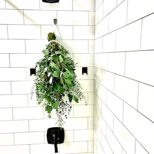Eucalyptus Shower Bundle: Fresh Baby Blue, Silver Dollar & Parvifolia
