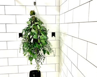 Große Eukalyptus-Bundle-Mix, Eukalyptus-Pflanzenbündel für Dampfdusche, Babyblau, Parvifolia, Silberdollar-Eukalyptus Zimmerpflanzen