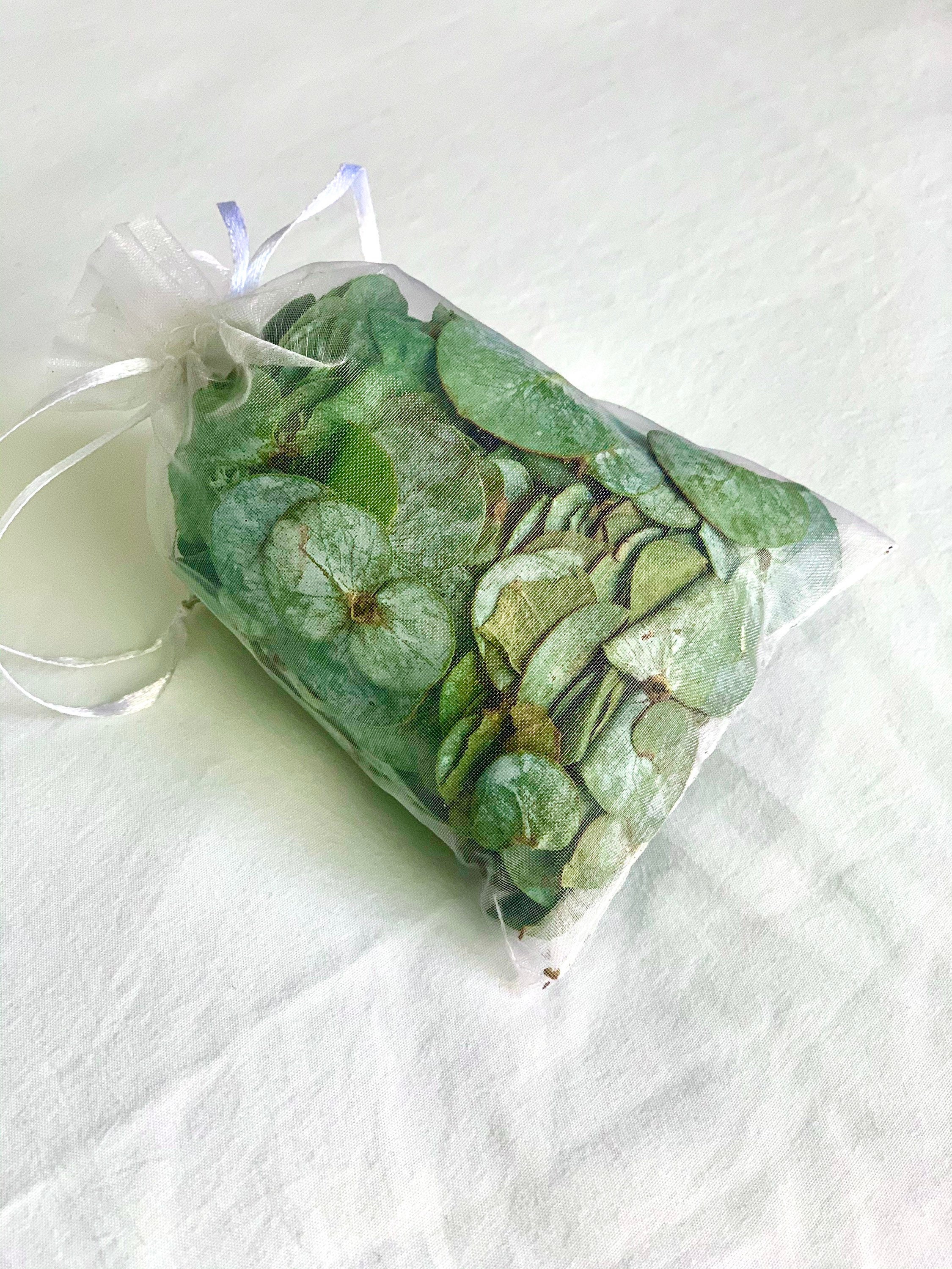 Eucalyptus Shower & Bath Leaves Pouches Sinuses and Etsy