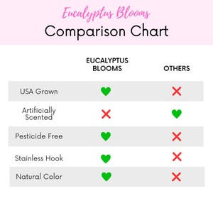 This is a list showing pros of using Eucalyptus Blooms as your trusted source for fresh eucalyptus.