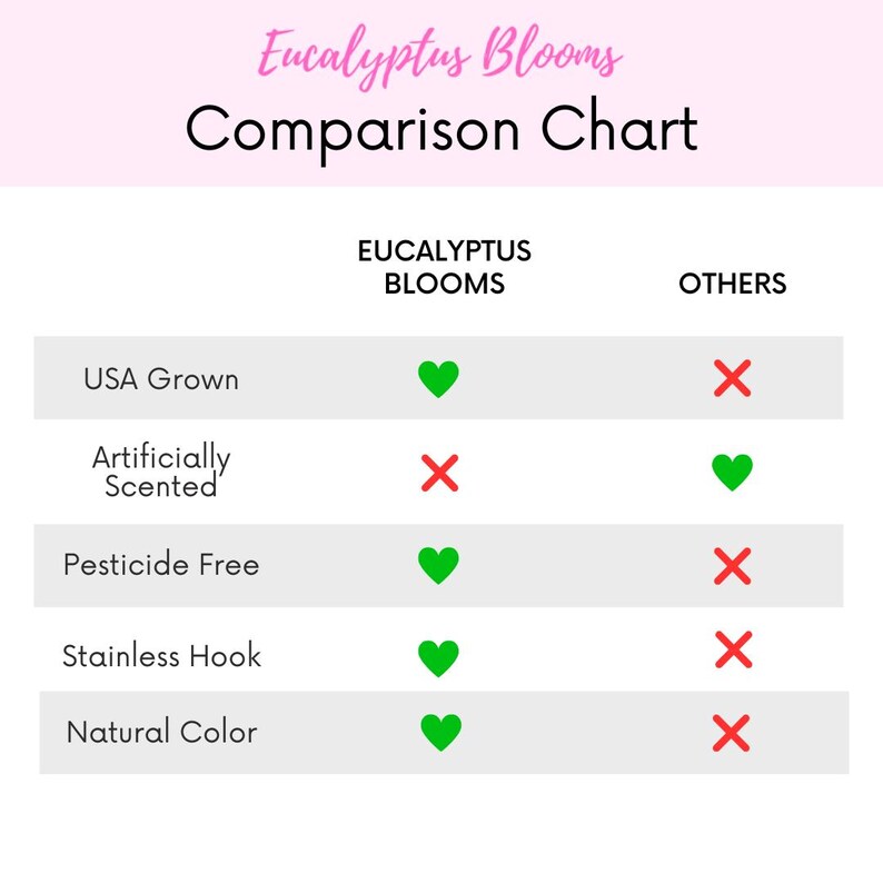 This is a list showing pros of using Eucalyptus Blooms as your trusted source for fresh eucalyptus.