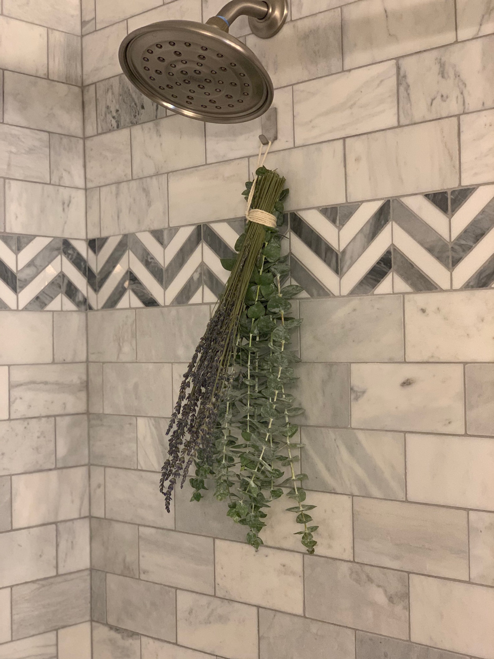 Fresh Shower Eucalyptus Lavender Bundle Shower House Plants Etsy