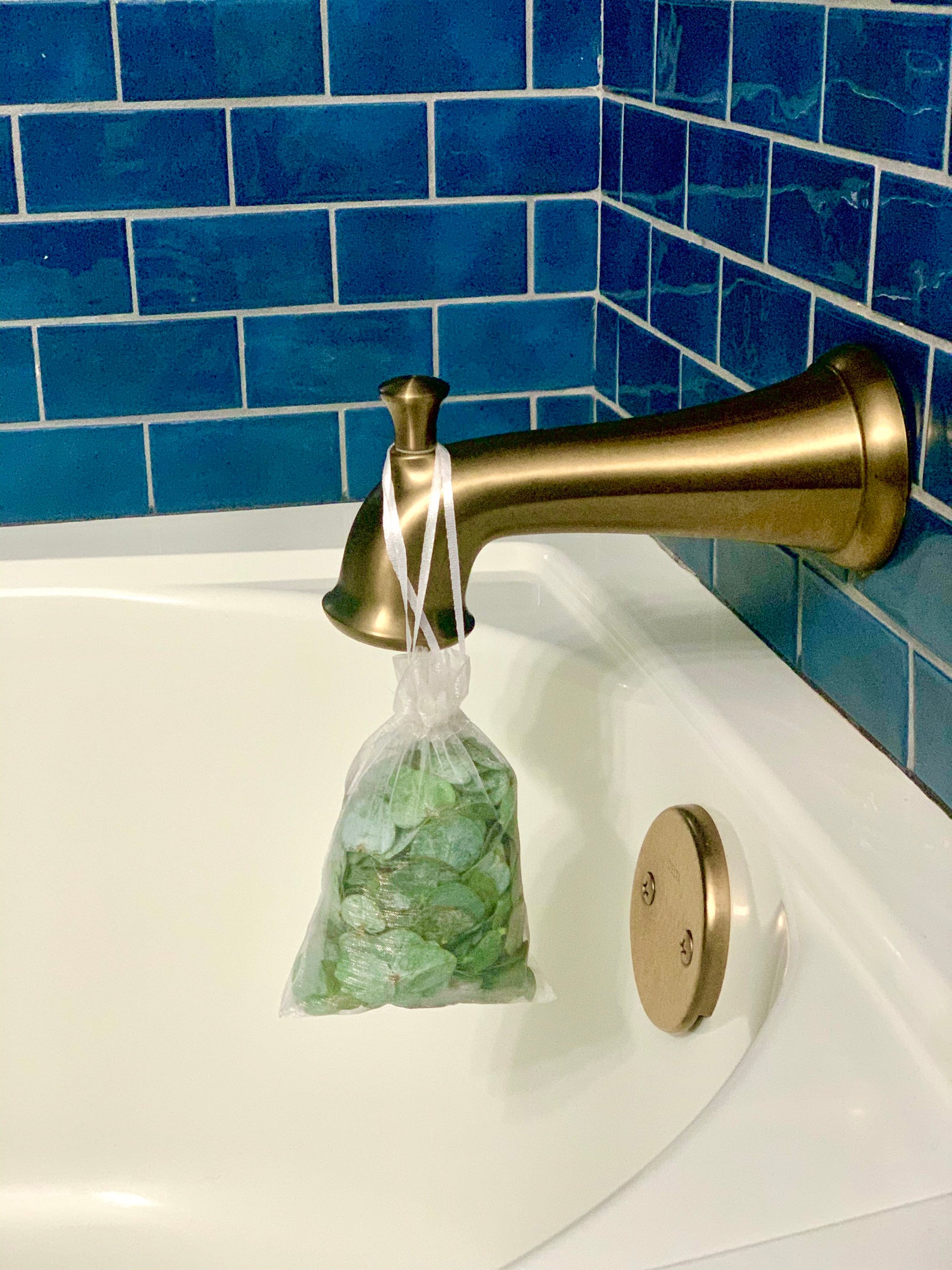 Eucalyptus Shower & Bath Leaves Pouches Sinuses and Etsy UK