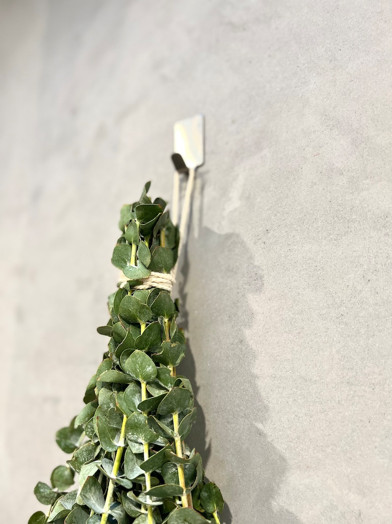 Eucalyptus bundle hanging in the shower with a close up of the adhesive hook used to hold the bundle on the wall.