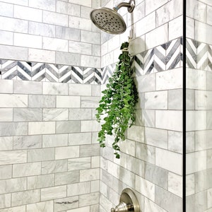 Eucalyptus plant hanging in a tiled shower under the shower head.