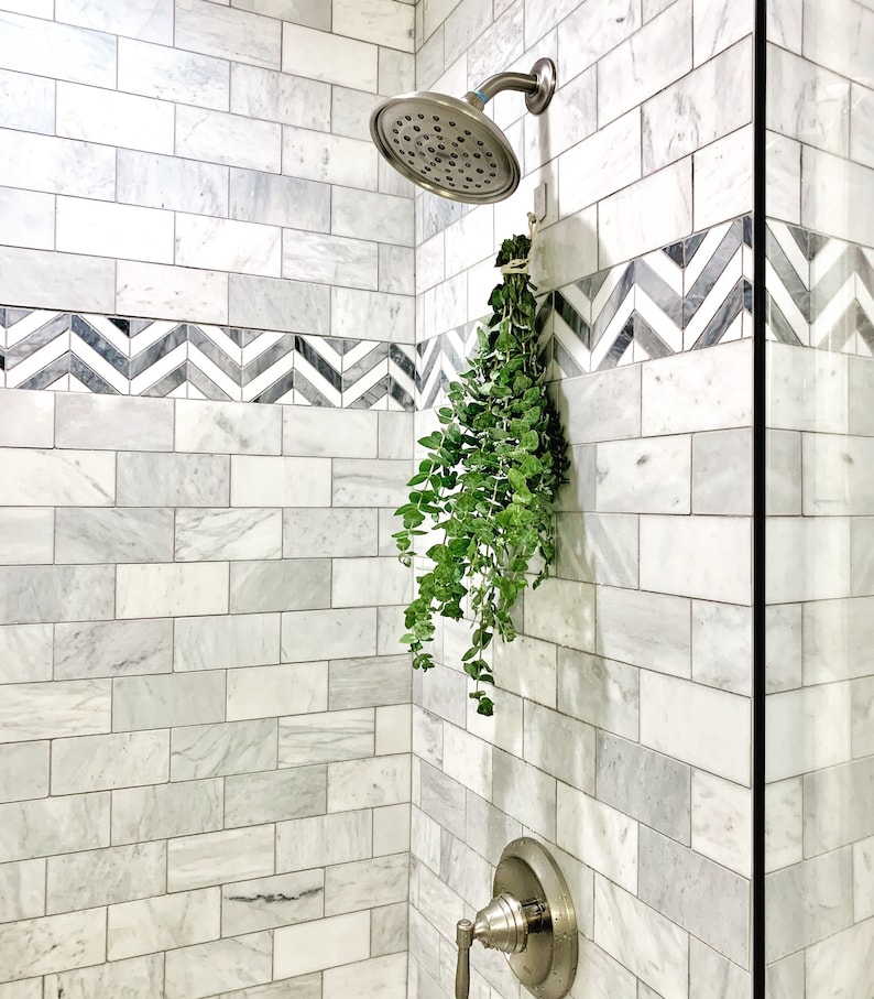 Eucalyptus plant hanging in a tiled shower under the shower head.