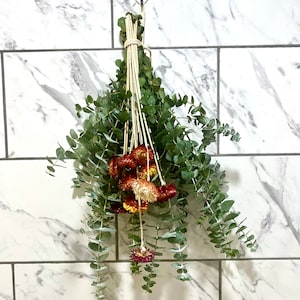 Eucalyptus Shower Bundle with Dried Daisies: Fall Home Decor