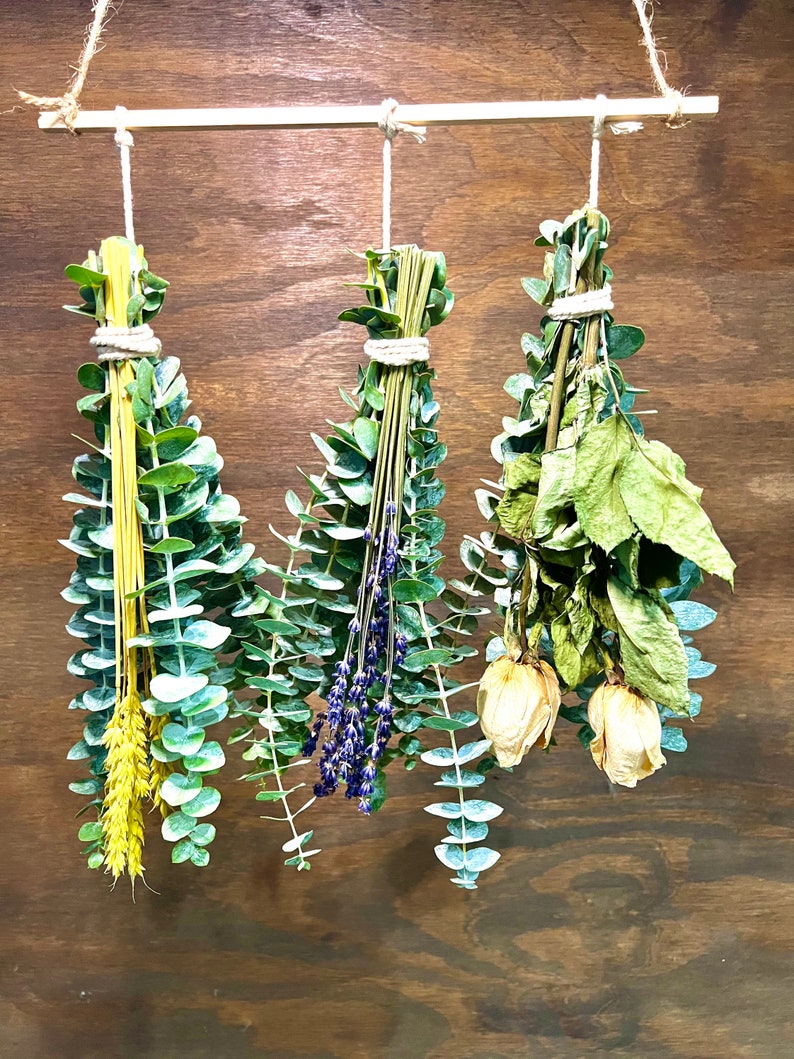 Shower Eucalyptus Bundle Set Fresh Shower Plants Boho Etsy