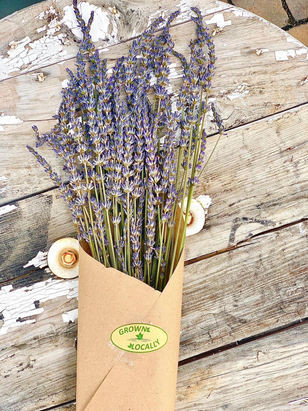 Dried Lavender Stems Dried Flowers Lavender Bunch English Lavender