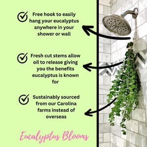 A diagram pointing out how our eucalyptus bundle comes with a free hook, fresh stems, and sustainably sourced.