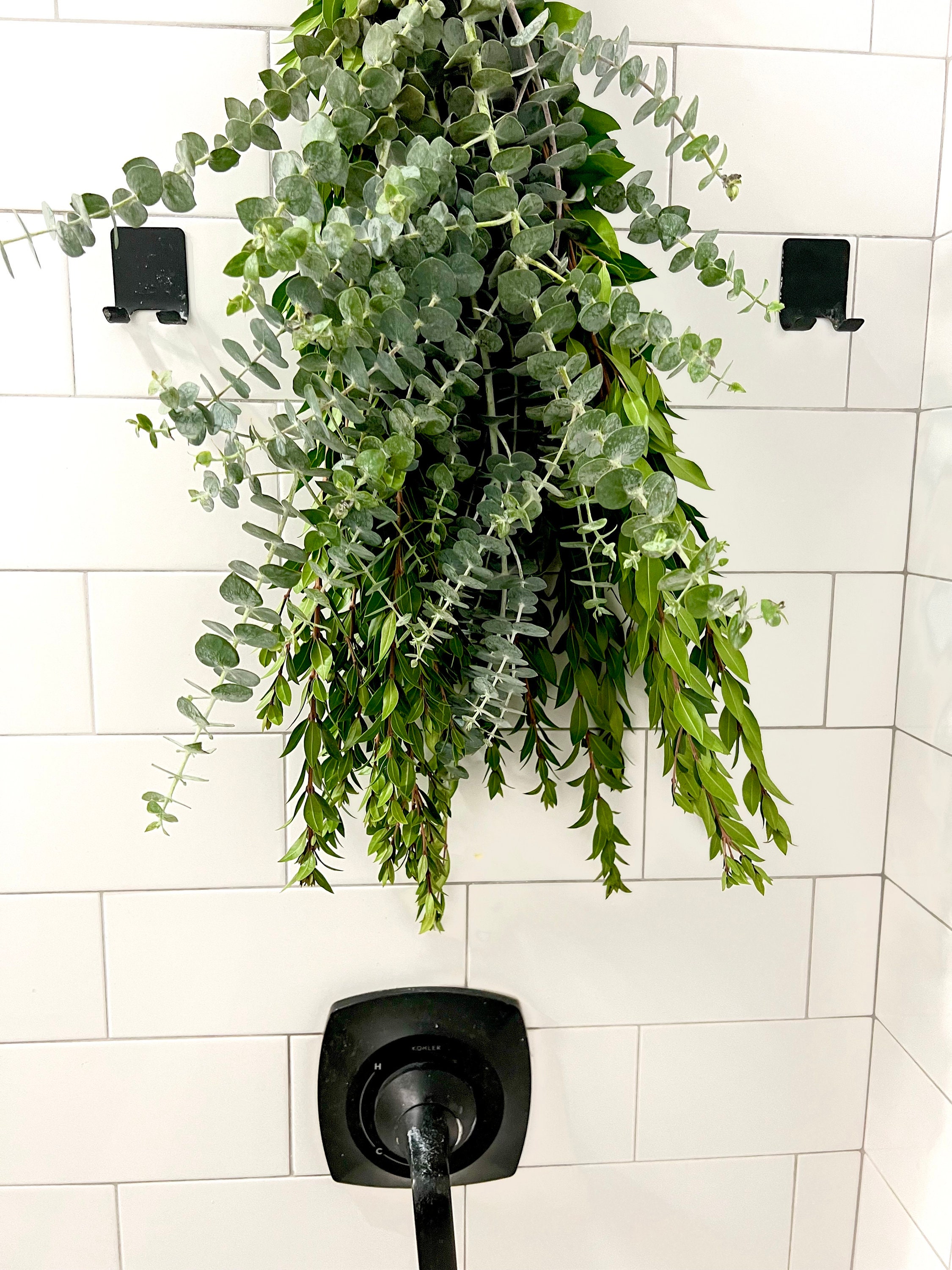 Eucalyptus Shower Bundle With Myrtle: Bunch for Your Shower Including ...