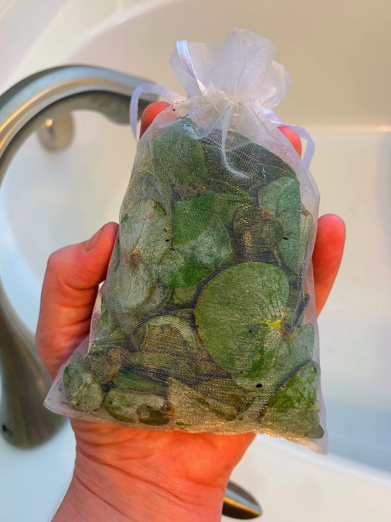 Eucalyptus & Lavender Shower Bath Pouches Aromatherapy Etsy Canada