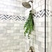 Fresh Eucalyptus Shower Bundle, Indoor Shower Plants, Fresh Eucalyptus Plant, Easy Plants, Boho Decor, Plant Lady, Live Eucalyptus Plants 