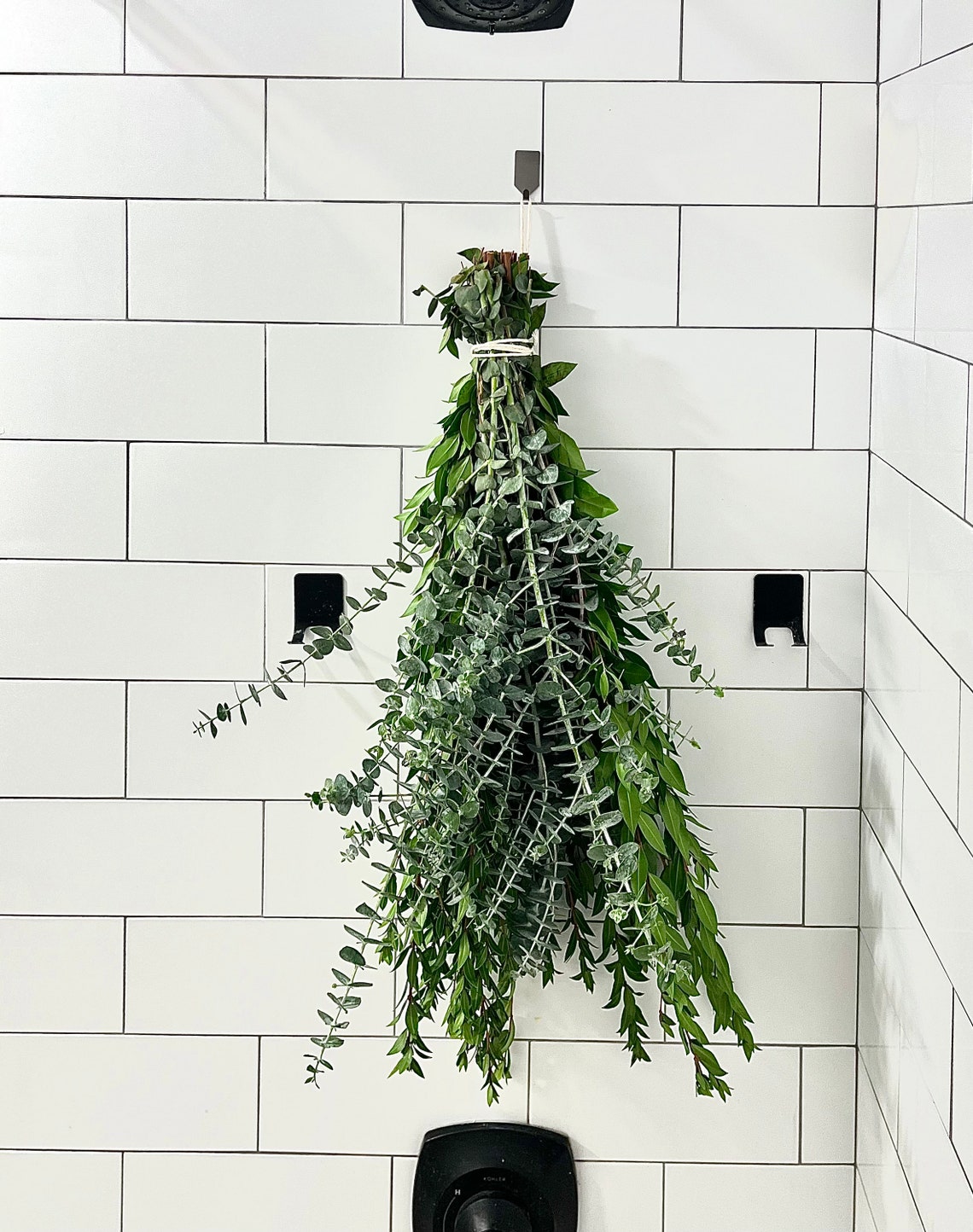 Eucalyptus Shower Bundle With Myrtle: Bunch for Your Shower Including ...