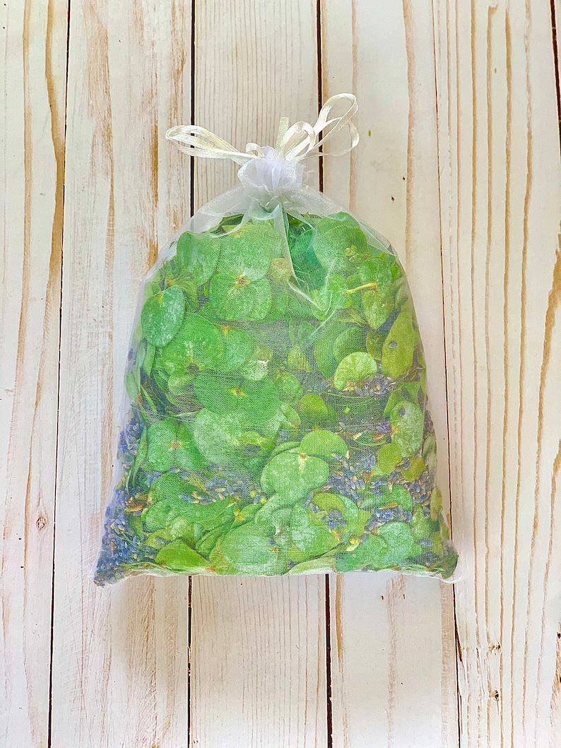 Fresh Eucalyptus Lavender Potpourri Bathroom Decor Scented Etsy