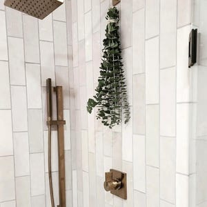 Large Eucalyptus Shower Bundle, Hanging Bathroom Plant Bunch, Fresh ...