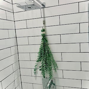 Large Eucalyptus Shower Bundle, Hanging Bathroom Plant Bunch, Fresh ...