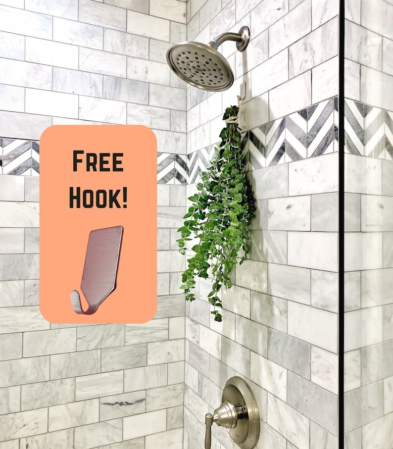 May include: A white tiled shower with a silver shower head and a silver hook. The hook is labeled "FREE HOOK!" and has a green plant hanging from it.