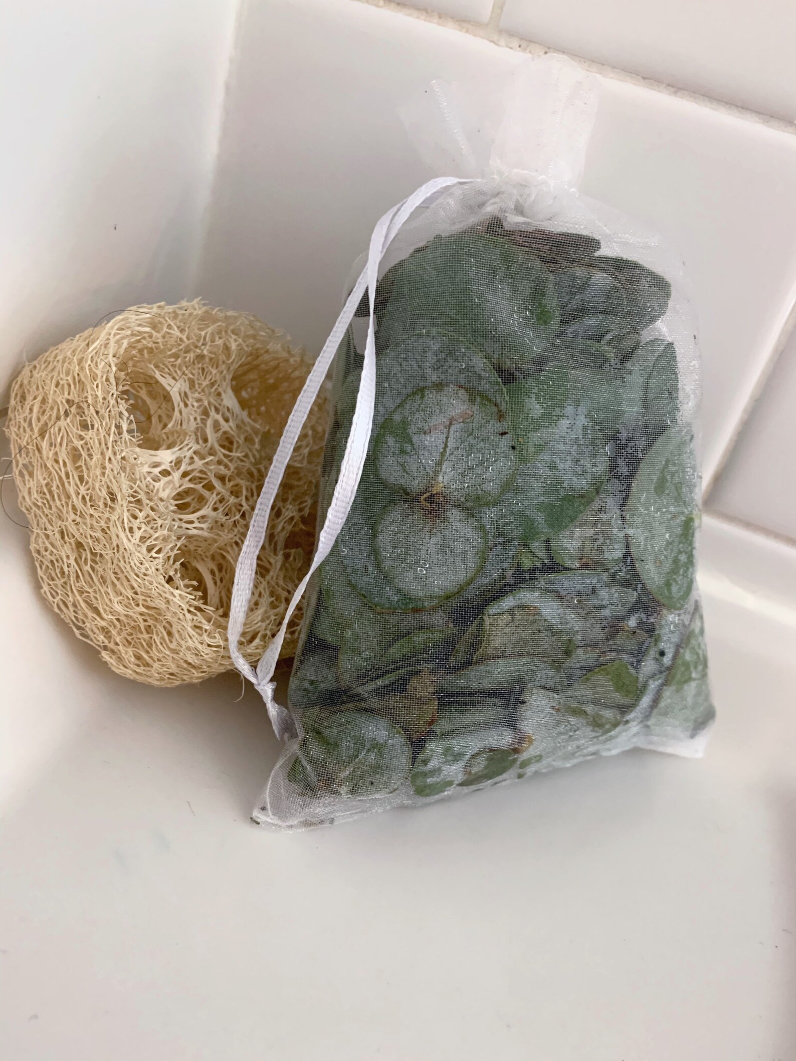 Eucalyptus Shower & Bath Leaves Pouches Sinuses and Etsy