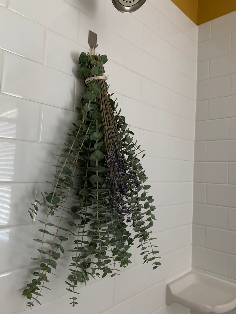 Shower Eucalyptus & Lavender Bunch Aromatherapy Cold Etsy