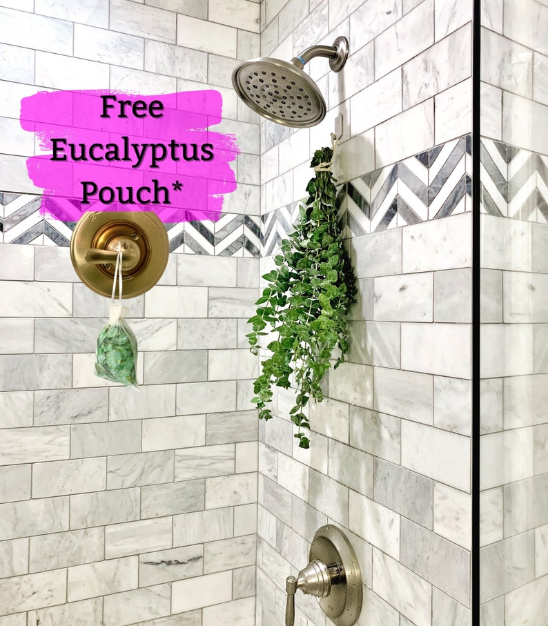 Fresh Eucalyptus Shower Bundle, Indoor Shower Plants, Fresh Eucalyptus Plant, Easy Plants, Boho Decor, Plant Lady, Live Eucalyptus Plants 