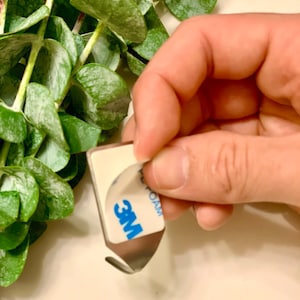 This picture shows a hand removing the film from the adhesive hook to place on the wall.