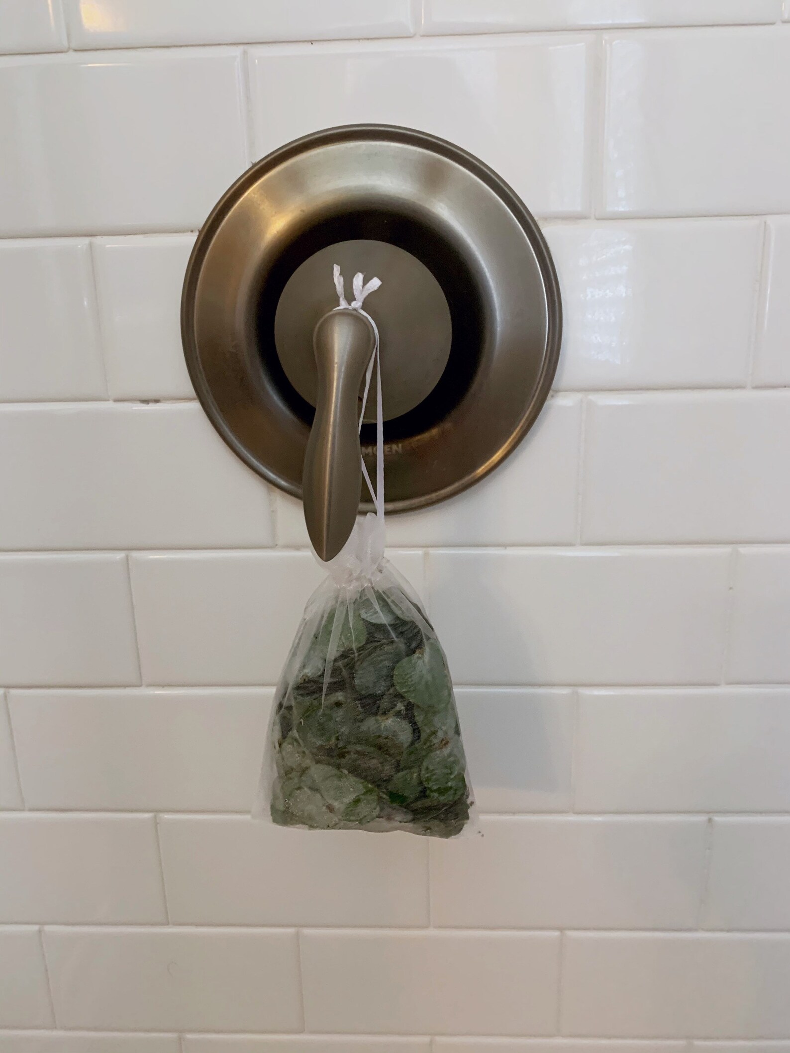 Eucalyptus Shower & Bath Leaves Pouches Sinuses and Etsy