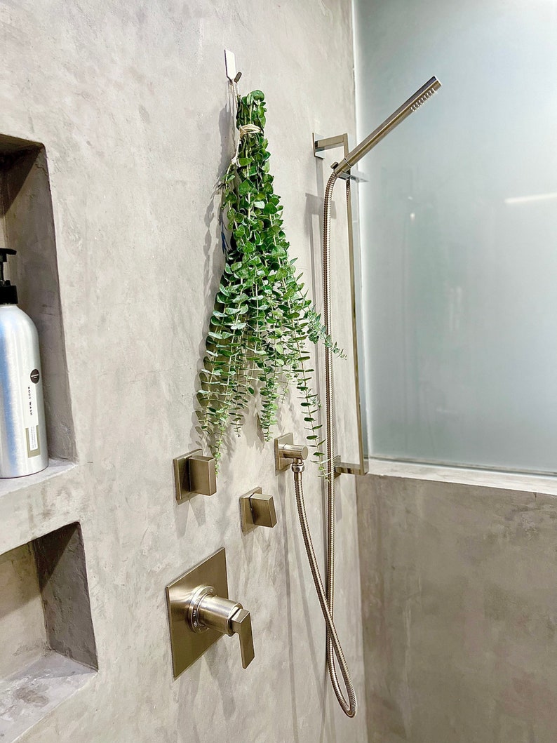 Fresh shower eucalyptus bundle hanging in a modern concrete shower. Bright green eucalyptus stems near the shower head.